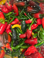 Chillies in Colander
